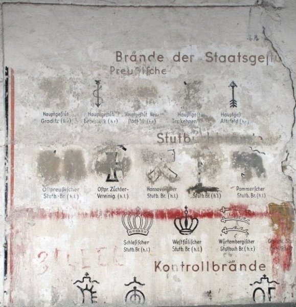 Aktuelle Fotos der Stadt Küstrin / Kostrzyn Oderinsel / Artilleriekaserne - Brandzeichen als Wandbild *5